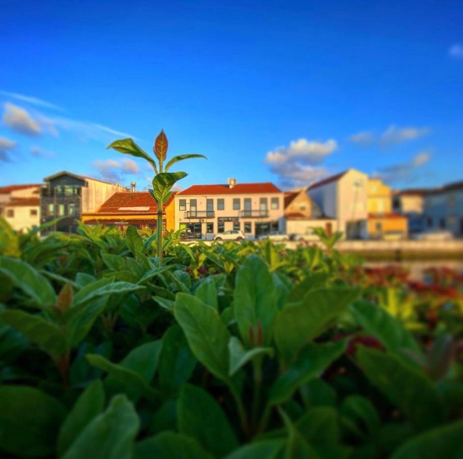 Up Tree Nature Rooms Aveiro Esterno foto